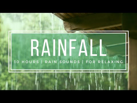 Rain Sounds for Sleeping No Thunder - 10 Hours Relaxing Deep Sleep Nature Sounds ASMR HD