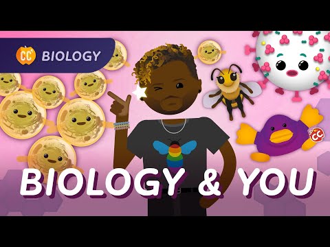 Biology and You: The Dr. Sammy Show: Crash Course Biology #50