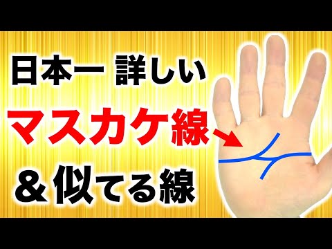 【手相】マスカケ線とマスカケに似ている線の見分け方＆活かし方解説