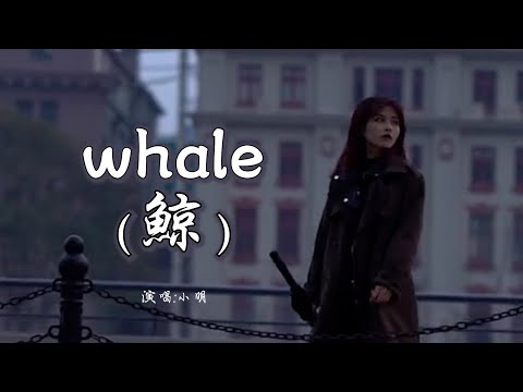 MXMing小明 《whale 鲸》 「一往深情 归于寂静，化孤独为名；我追逐不及，仍在颠沛流离」 【动态歌词 Lyrics】