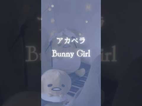 【アカペラ】Bunny Girl / AKASAKI 様 #歌ってみた #song#cover#노래#bunnygirl#akasaki#shorts#short#アカペラ