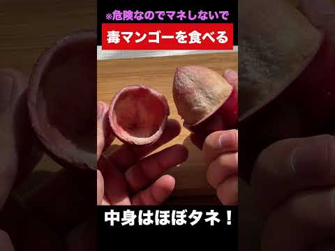 猛毒フルーツ『シーマンゴー』を食べる