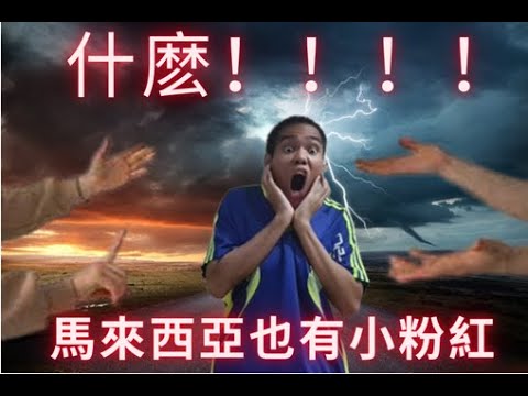 什麽！！！！ 馬來西亞也有小粉紅 【粉紅那些事 第2集】