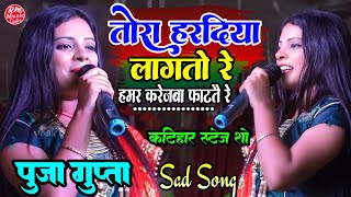 तोरा हरदिया लागतो रे हमर करेजवा फाटते रे #sad_song_2024 पूजा गुप्ता #Govindpur कटिहार स्टेज शो