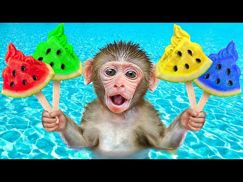 KiKi Monkey eat Colorful Watermelon Ice Cream at Swimming Pool | KUDO ANIMAL KIKI