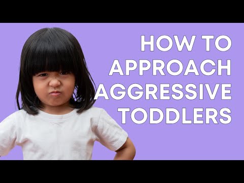 Aggressive Toddler Behaviour: Understanding & Managing