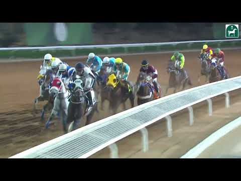 RIYADH RACING SEASON MEETING NO 52 RACE NO 8