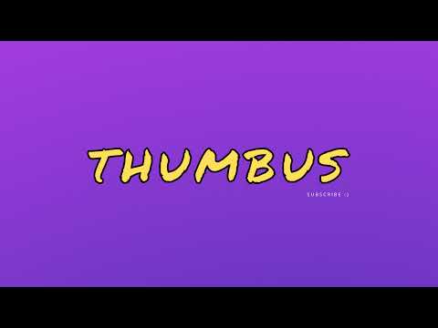 Thumbus Live Stream