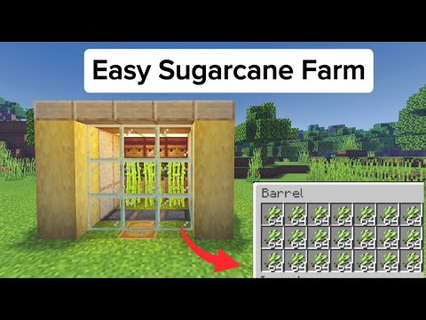 Easy Sugarcane Farm in Minecraft.