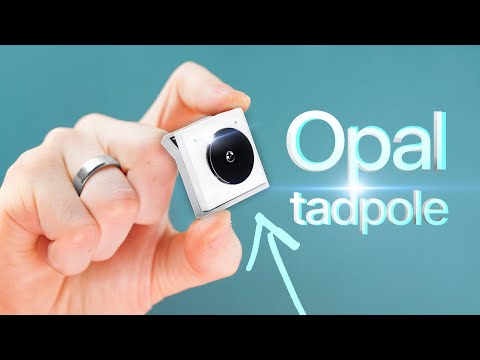 The Opal Tadpole - smallest webcam I've ever seen!