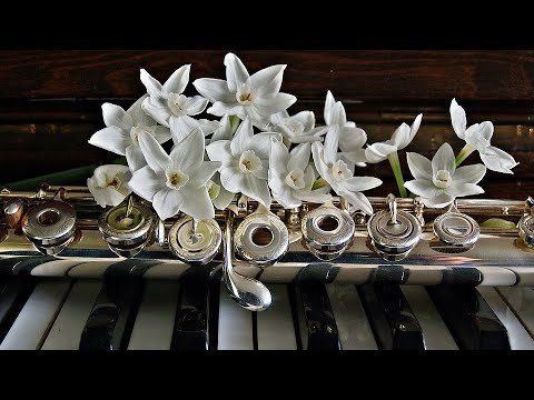 Relaxing Flute + Piano Instrumental🎹 | 10 Hours