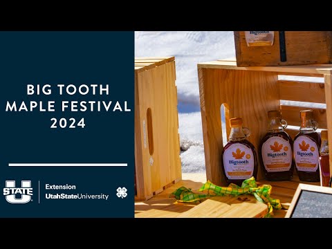 Big Tooth Maple Festival 2024