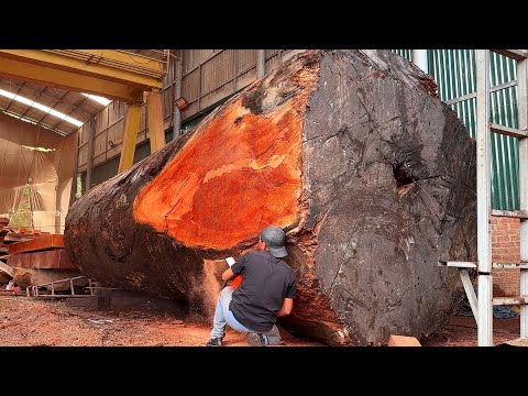 Wood Cutting Skills // 3200 Year Old Giant Tree