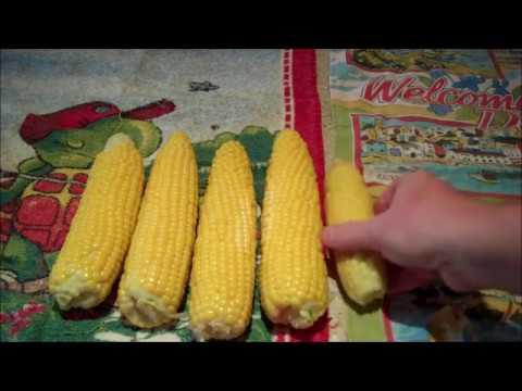 How to Freeze and Store Sweetcorn