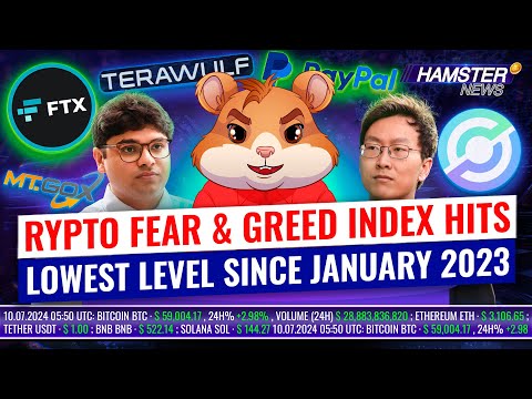 FTX Scandal Update & PayPal's stablecoin on Solana and Circle's EURC ⚡️ Hamster News