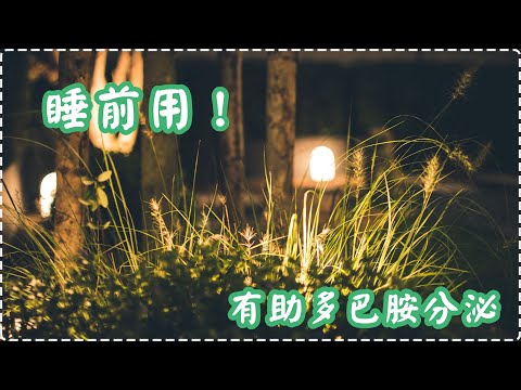 睡前用！ 有助多巴胺分泌 鋼琴輕音樂【1小時】 入眠、放鬆、舒緩、休息 Relaxing Music, Soothing Music