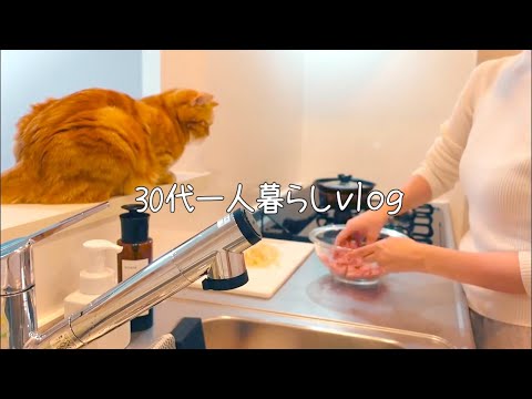 【vlog】離婚して一人暮らしを楽しむ | おうち時間を楽しむ日常vlog | 猫