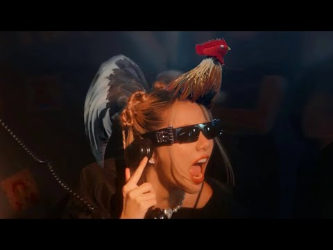 WONDERFRAME - ไก่ที่หมดจาน ดีกว่าการที่หมดใจ (Chick)【VISUALIZER】