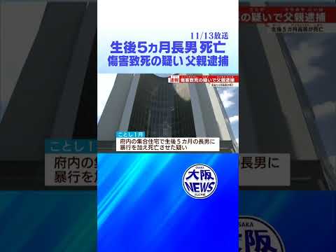 【大阪】夜泣きする長男、泣き止まそうと焦り…つい下に落とした…傷害致死の疑い40歳父親逮捕　＃news