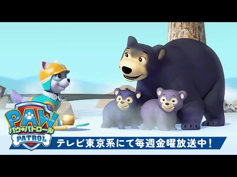 パウ・パトロール | エベレストが子グマをレスキュー！| テレビ東京系にて放送中