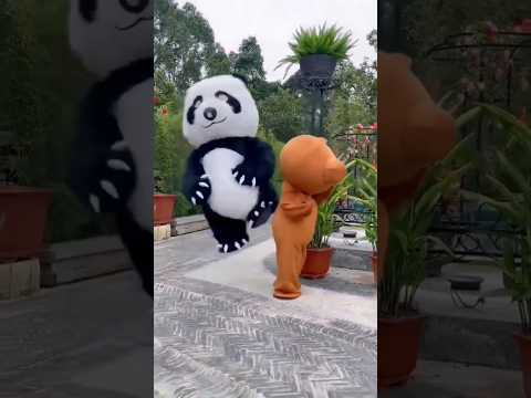 cute teddy cute panda 🥰🥰#teddy #panda #shorts #shortsfeed #short #youtubeshorts#funny