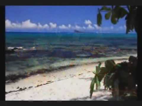 t-east reggea for rastaman.wmv