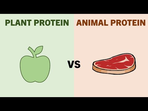 How Effective Are Vegan Diets for Muscle Growth?