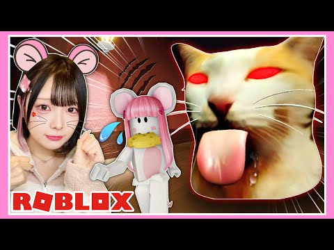 『巨大なネコの頭』に食べられないように逃げろ！！💨【ロブロックス / Roblox】【たまちゃん】