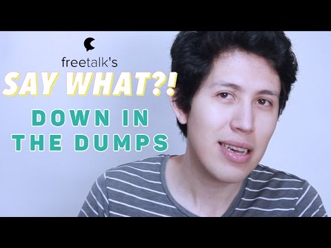 DOWN IN THE DUMPS — Say What?! | Learn English Expressions