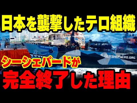 【海外の反応】「もう無理だ･･･」散々日本を責め続けたシーシェパードが妨害活動を中止w日本に負けてIWCもろとも終了w【グレートJAPANちゃんねる】