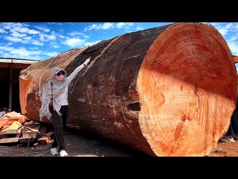 Wood Cutting Skills// Giant Monsters You've Never Seen Before