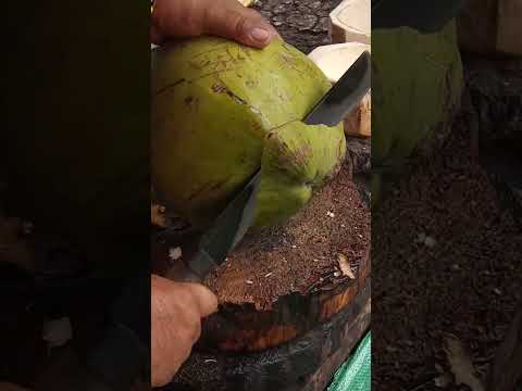 very fantastic coconut cutting ASMR #satisfying #cuttingskills #streetfood #youtubeshorts #gatchie