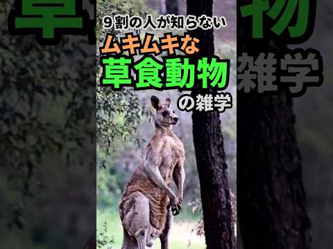 ９割の人が知らない草食動物の雑学　#Shorts 短い達人の教え #トリビア  #1分雑学 #動物