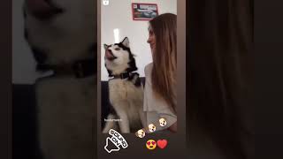 #dogs #doglover #dogsoftiktok #dogecommunity