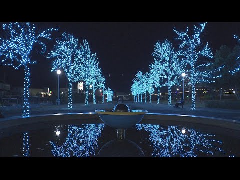 【映像】みずいろ公園のイルミネーション　福島・本宮市【四季カメラ】