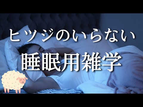 【即寝落ち用雑学】睡眠の質は「最初の60分」で決まる！