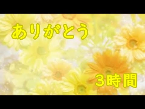 “ありがとう” 長時間 ①