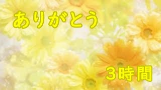 “ありがとう” 長時間 ①