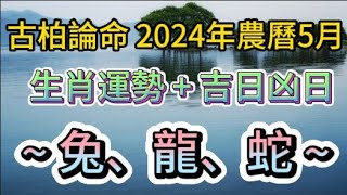 【古柏論命每月運勢+吉日凶日】2024年農曆五月(陽曆2024年6/6 ~ 7/5)生肖運勢分享 -  兔、龍、蛇