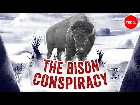 What killed all the bison? - Andrew C. Isenberg