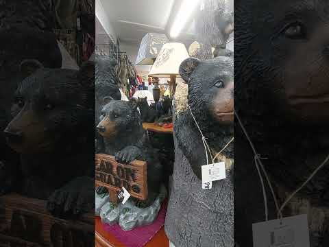 BEAR LOVE  #giftshop #vacationstationtv