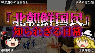 【ゆっくり解説】驚愕！北朝鮮の国民の知られざる毎日『闇学』