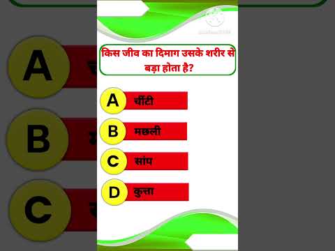 किस जीव का दिमाग उसके शरीर से बड़ा होता है? //  Gk Question In Hindi // Gk // W STUDY CENTRE