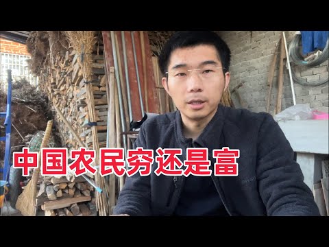 中国农民的真实生活水平，在农村靠勤劳的双手，能养活一家人吗？