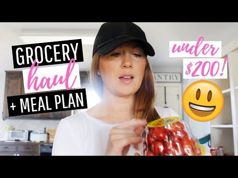 GROCERY HAUL // HEALTHY MEAL PLAN // ALDI, KROGER & PUBLIX // DENAE LYNN