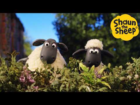 The Mission 🐑 Shaun the Sheep - Cartoons for Kids 🐑 Full Episodes Compilation [1 hour]