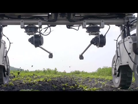 Disrupted: AI robot wages war on weeds | REUTERS