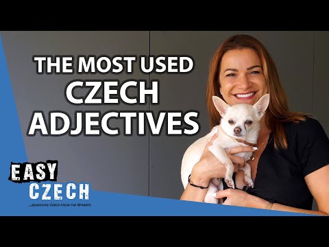 50 Czech Adjectives You Must Know | Super Easy Czech 36