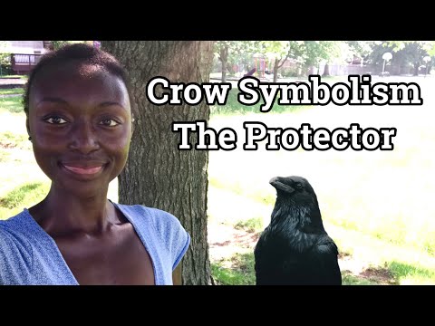 Crow Spirit Animal Totem | Evolving Self