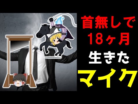 【闇科学】ギロチン処刑で首チョンパの瞬間、意識はどうなる？【ゆっくり解説】